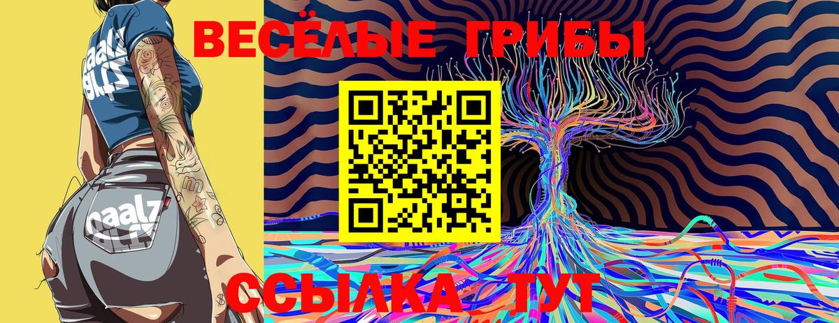Псилоцибиновые грибы мицелий Троицк