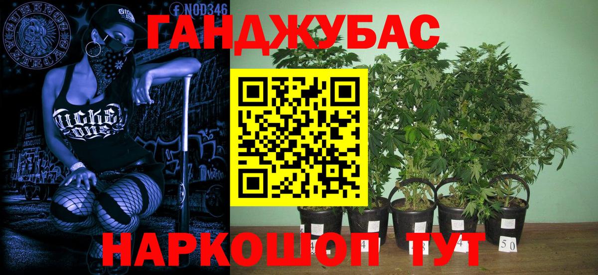 Бошки марихуана THC 21% Троицк